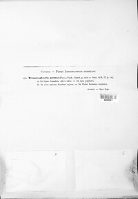 Image Associated With the Occurence